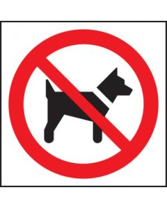 No Dogs Symbol Safety Sign | 200mm x 200mm | Rigid Plastic